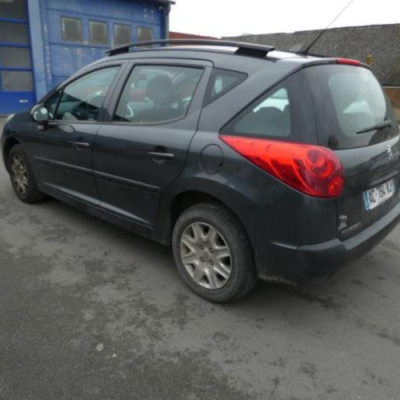 Porte arriere gauche PEUGEOT 207 Photo n°6
