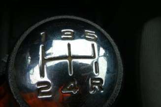 Porte arriere gauche PEUGEOT 207