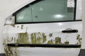 Porte avant gauche RENAULT CLIO 3 Photo n°1