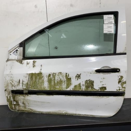 Porte avant gauche RENAULT CLIO 3 Photo n°1