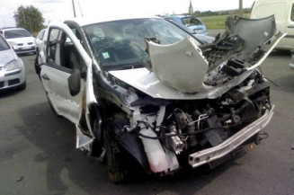 Porte avant gauche RENAULT CLIO 3