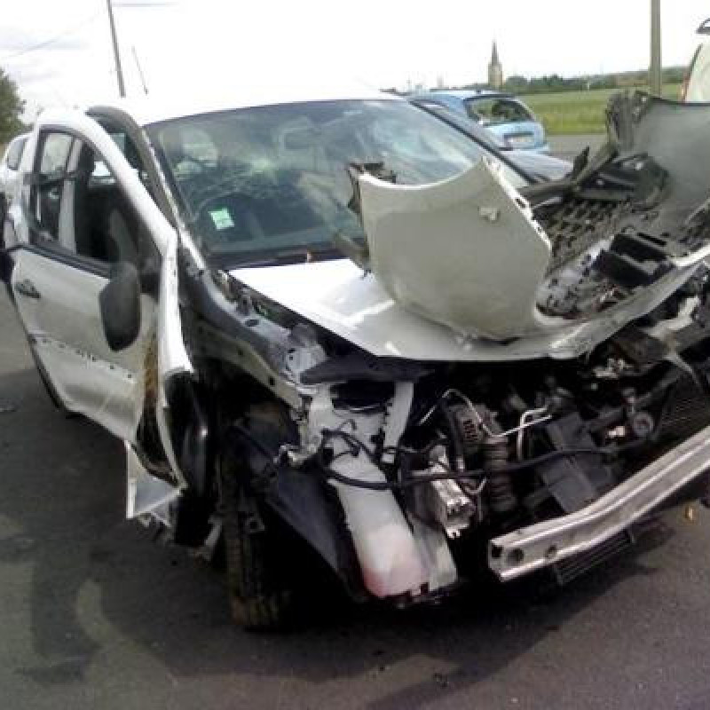 Porte avant gauche RENAULT CLIO 3 Photo n°3