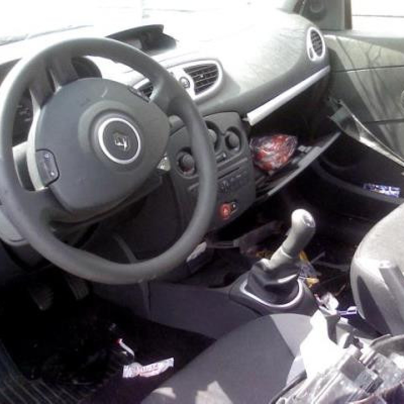 Porte avant gauche RENAULT CLIO 3 Photo n°4