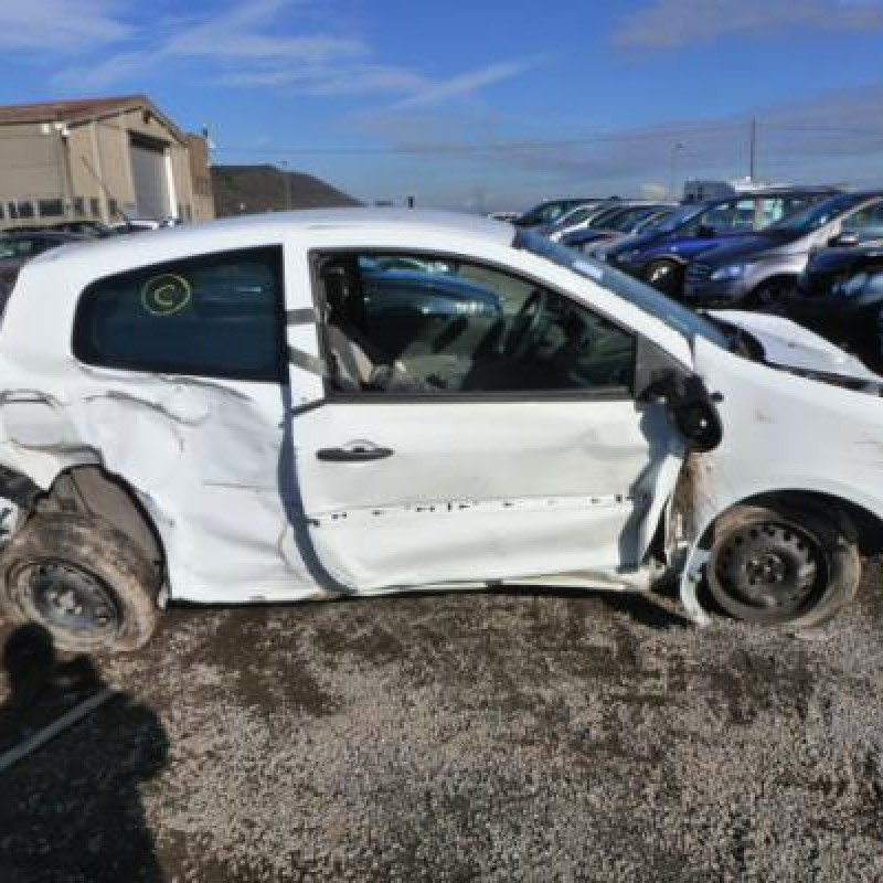 Porte avant gauche RENAULT CLIO 3 Photo n°7