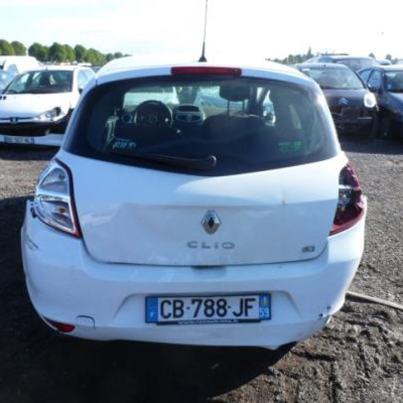 Porte avant gauche RENAULT CLIO 3 Photo n°8