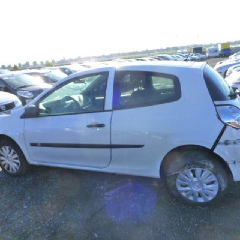 Porte avant gauche RENAULT CLIO 3 Photo n°9
