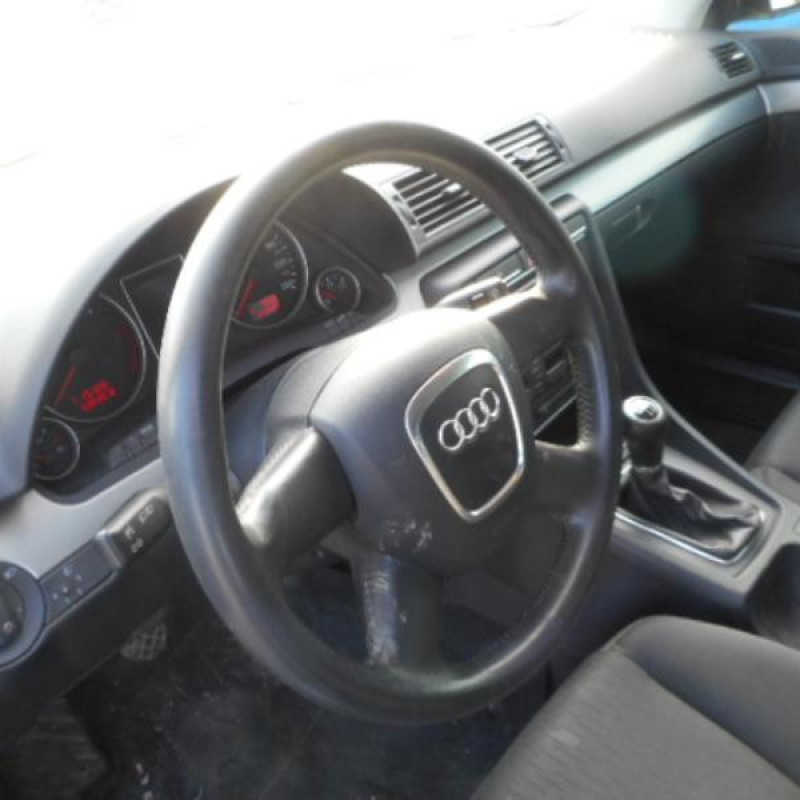 Porte arriere droit AUDI A4 2 Photo n°10
