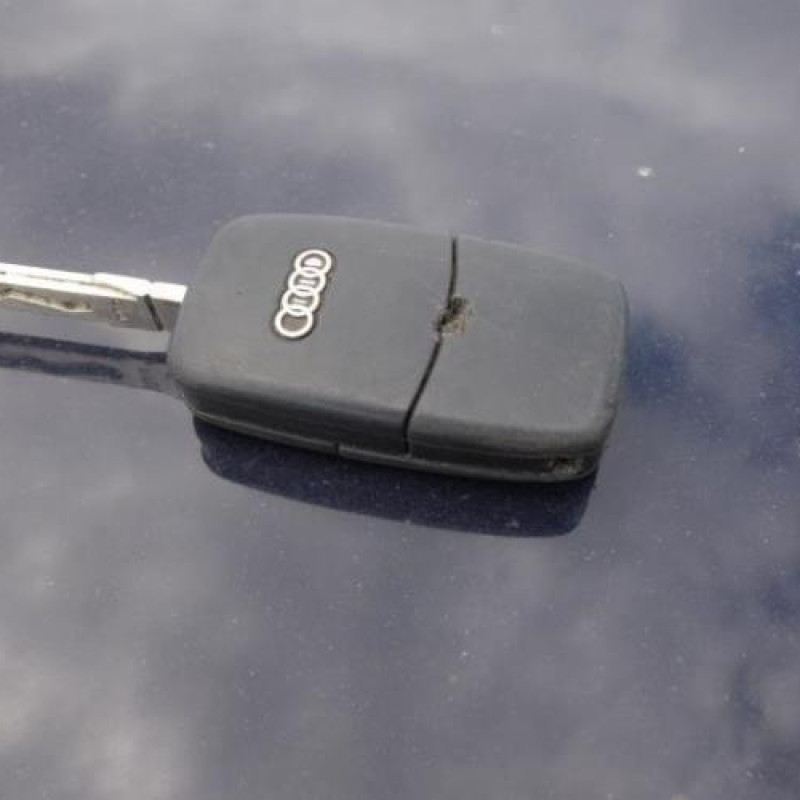 Porte arriere droit AUDI A4 2 Photo n°14