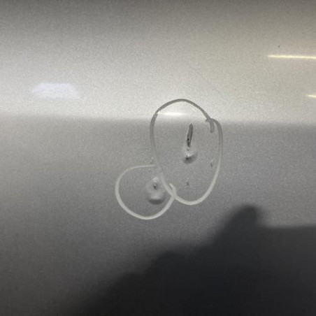 Porte avant droit AUDI A6 2