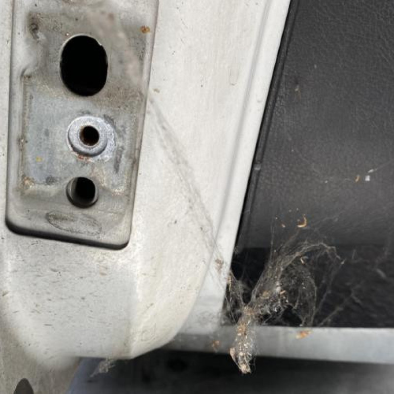 Porte avant droit PEUGEOT 207 Photo n°7
