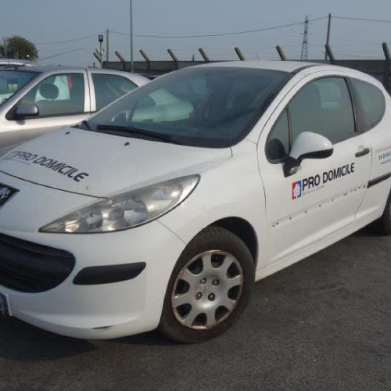 Porte avant droit PEUGEOT 207 Photo n°8