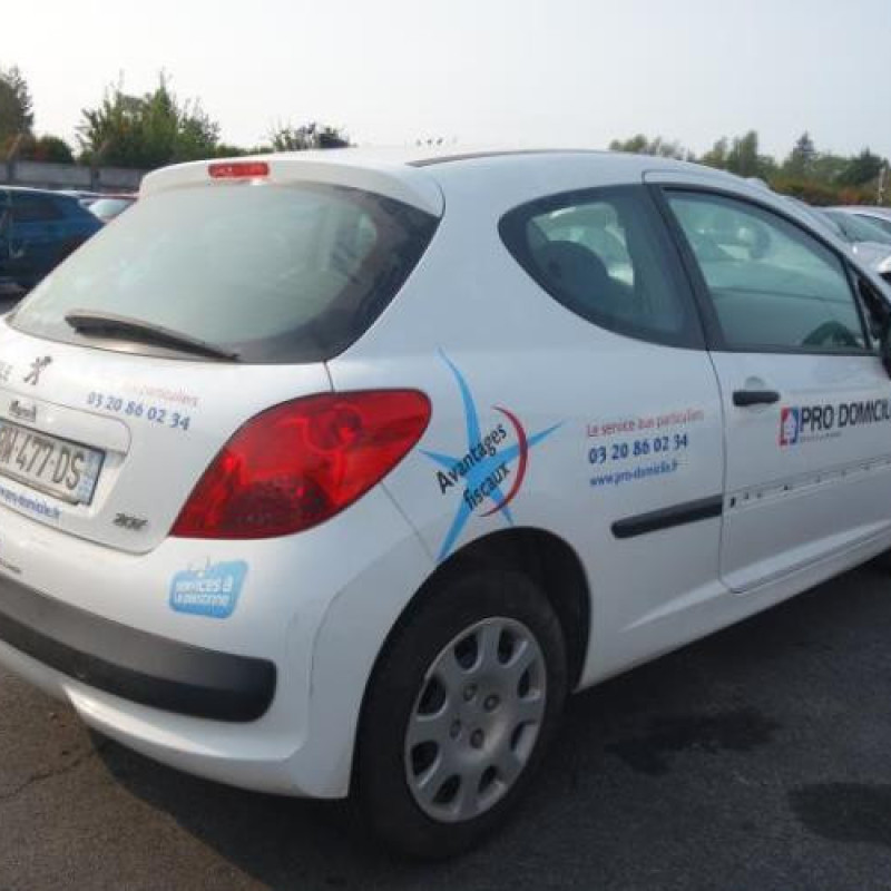 Porte avant droit PEUGEOT 207 Photo n°10