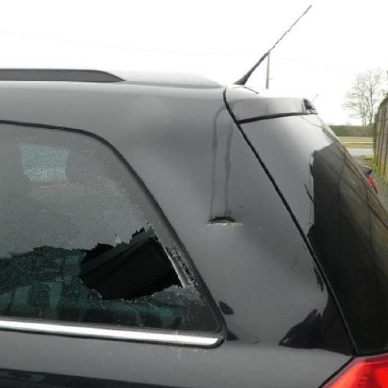 Porte arriere droit OPEL ZAFIRA B Photo n°8