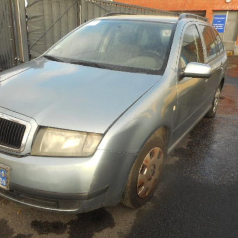 Porte arriere droit SKODA FABIA 1 Photo n°5