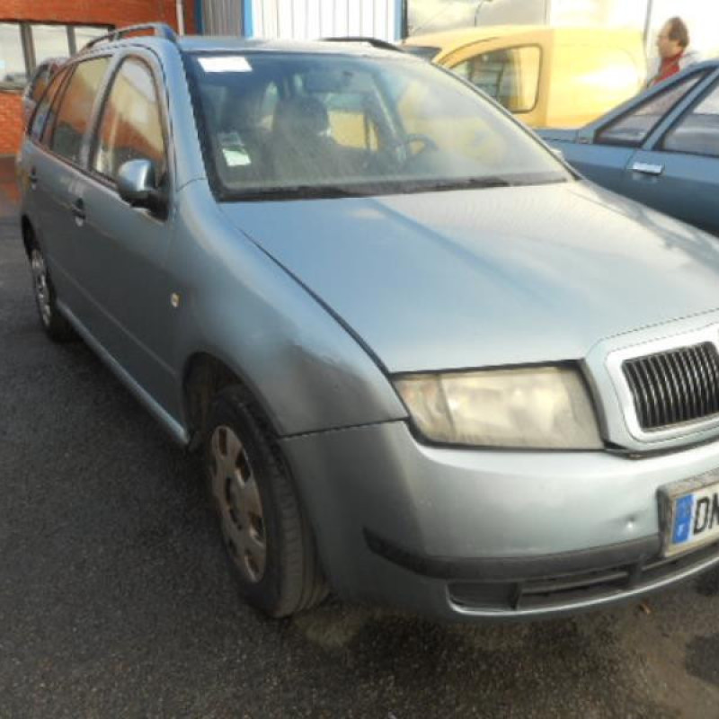 Porte arriere droit SKODA FABIA 1 Photo n°6