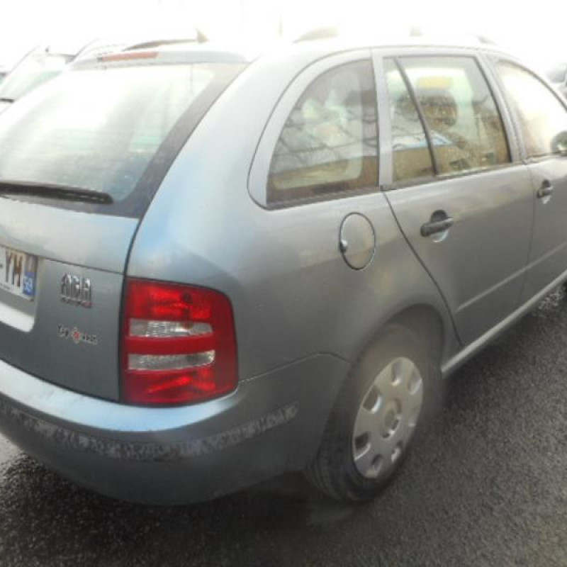 Porte arriere droit SKODA FABIA 1 Photo n°8