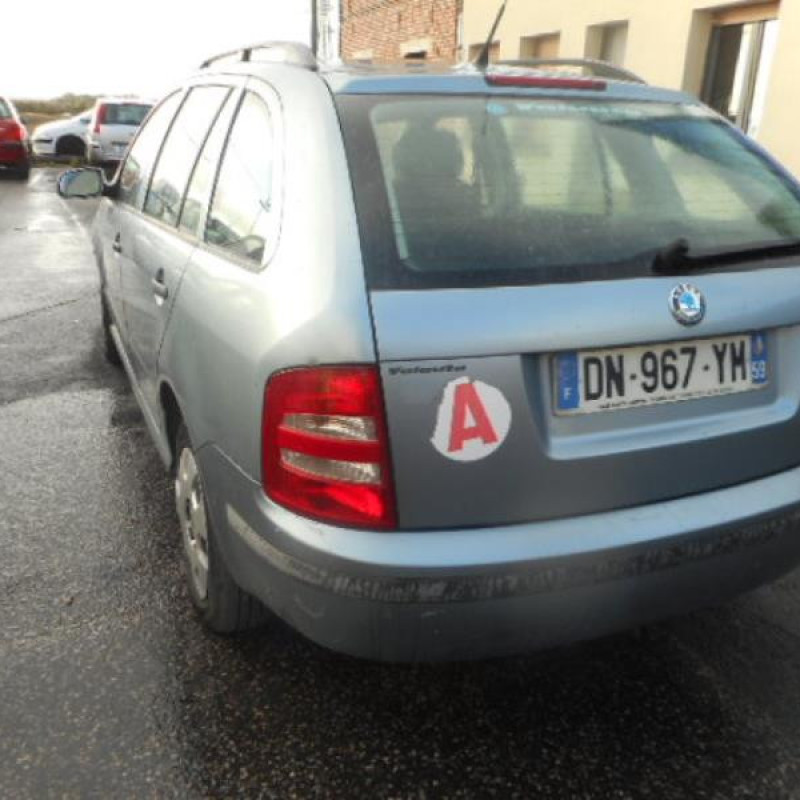 Porte arriere droit SKODA FABIA 1 Photo n°9