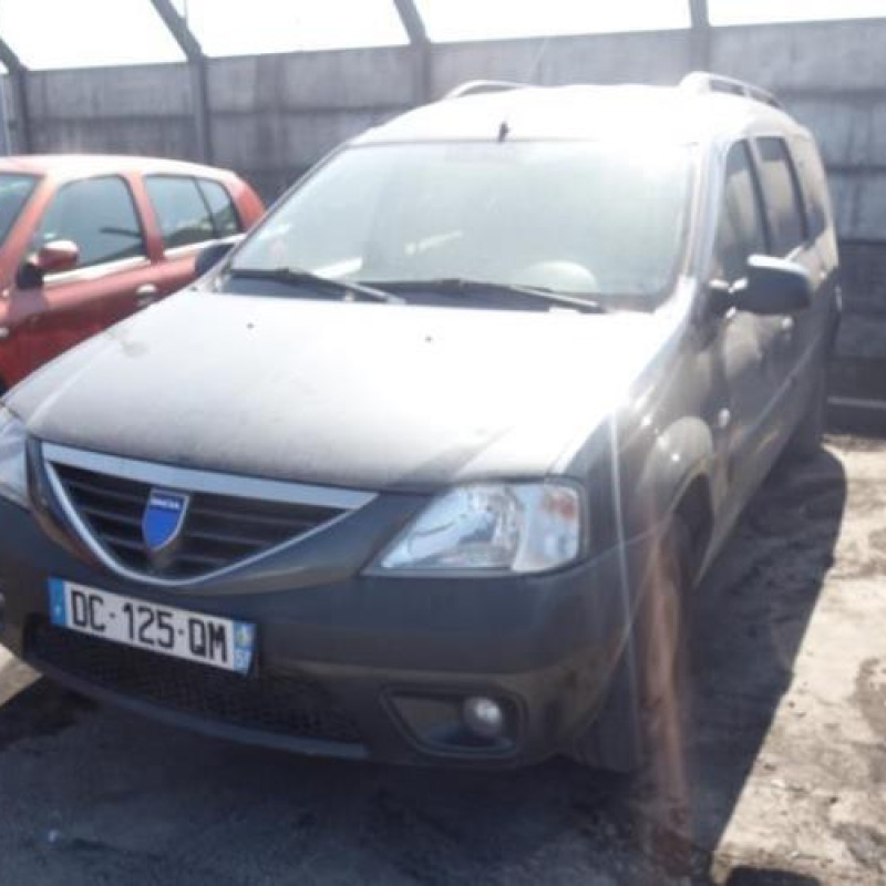 Porte de coffre droit DACIA LOGAN MCV 1 Photo n°3