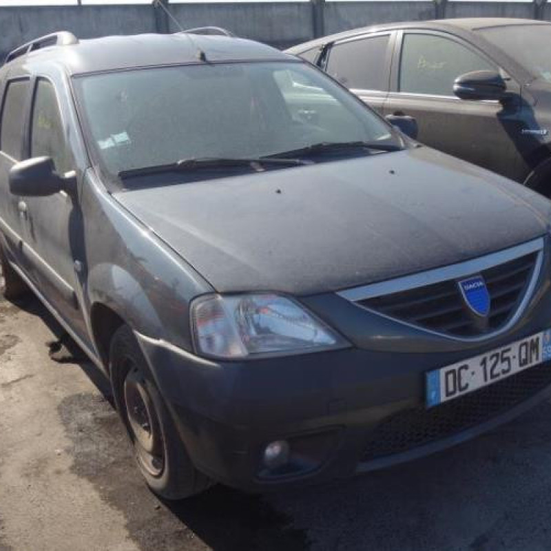 Porte de coffre droit DACIA LOGAN MCV 1 Photo n°4