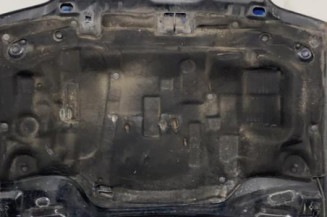 Capot FORD ORION 2