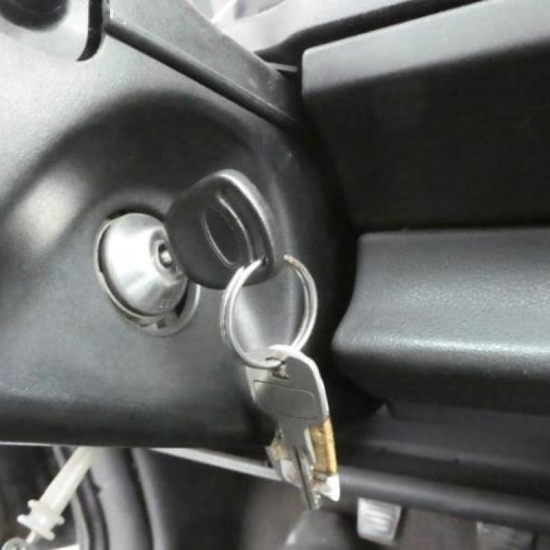 Porte avant gauche FORD ORION 2 Photo n°12