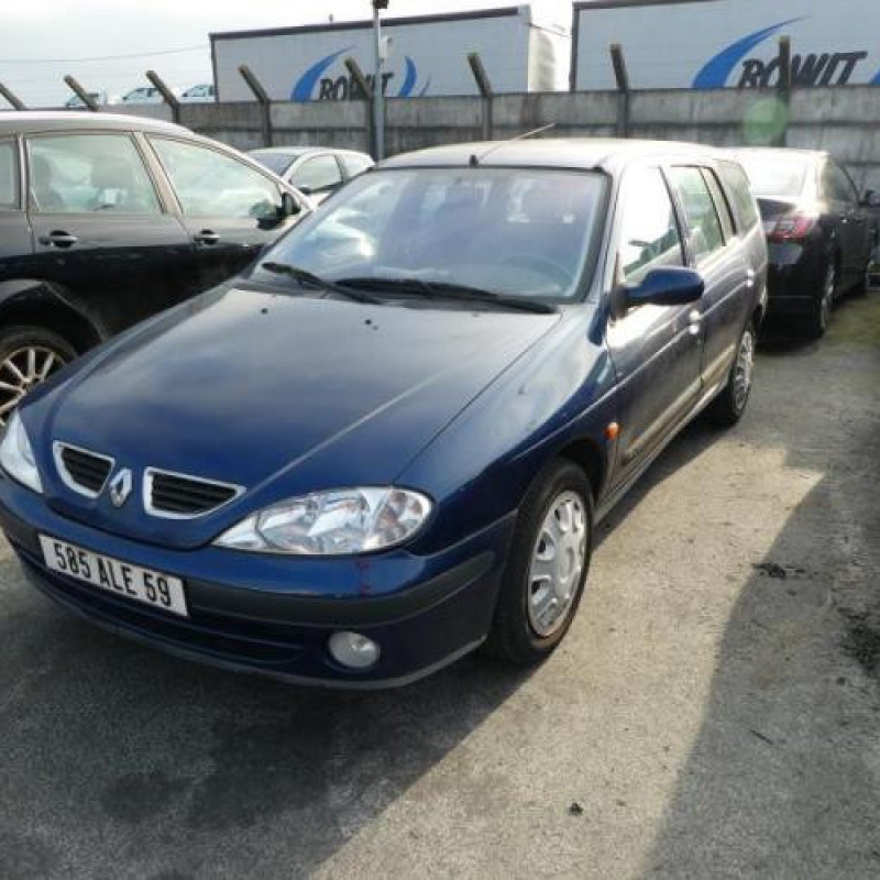 Malle/Hayon arriere RENAULT MEGANE 1 Photo n°3