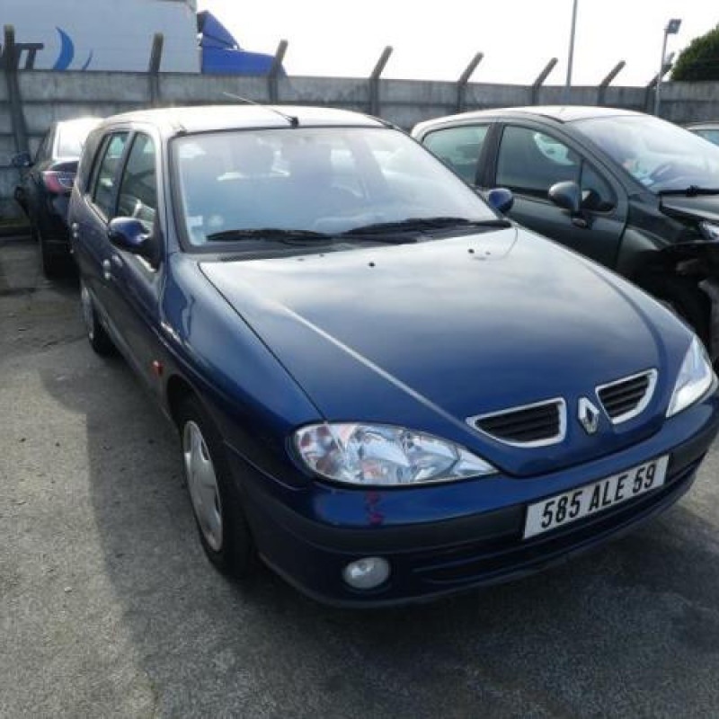 Malle/Hayon arriere RENAULT MEGANE 1 Photo n°4