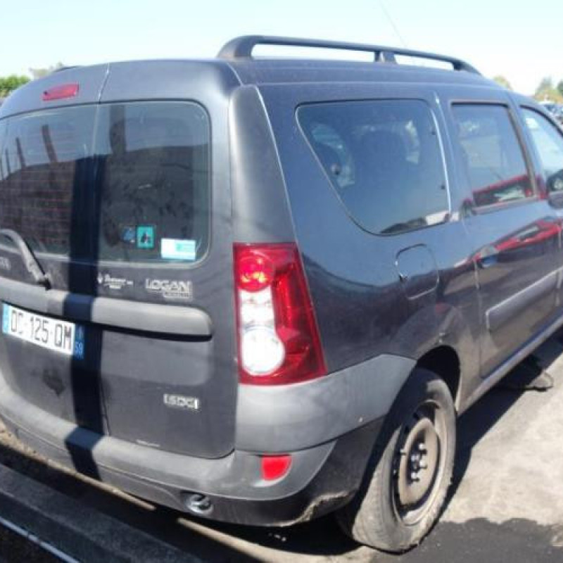 Charniere de porte arriere gauche DACIA LOGAN MCV 1 Photo n°4