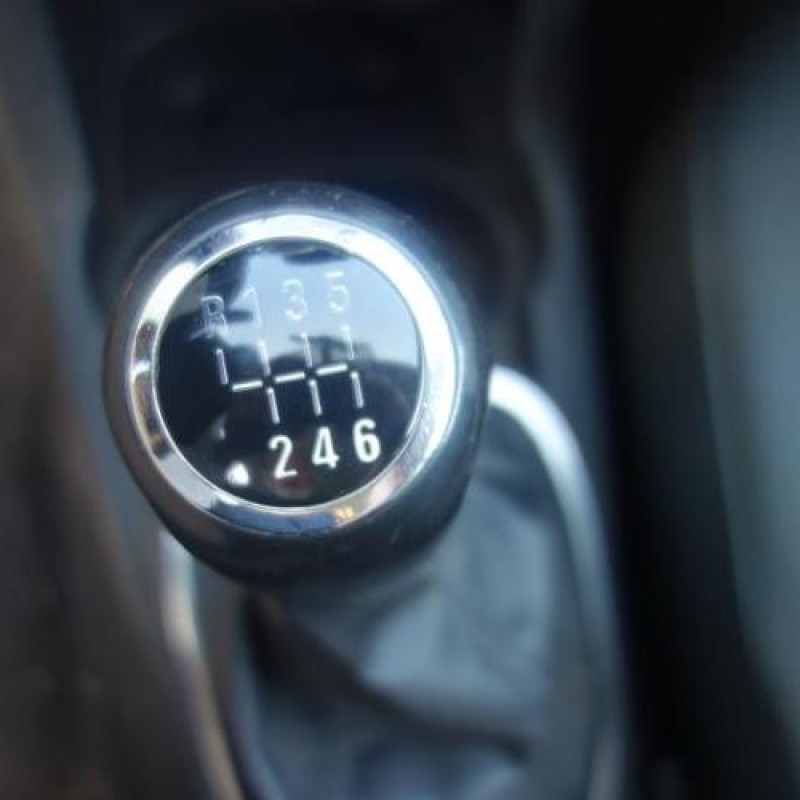 Porte avant gauche OPEL CORSA D Photo n°12