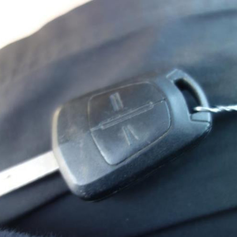 Porte avant gauche OPEL CORSA D Photo n°13