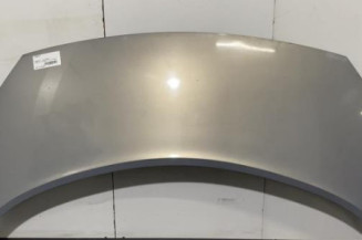 Capot RENAULT SCENIC 2 Photo n°1