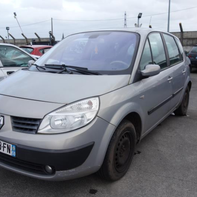 Capot RENAULT SCENIC 2 Photo n°3