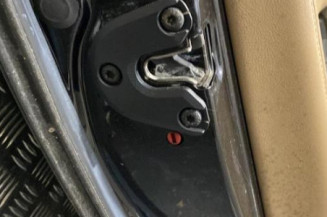Porte arriere gauche OPEL SIGNUM