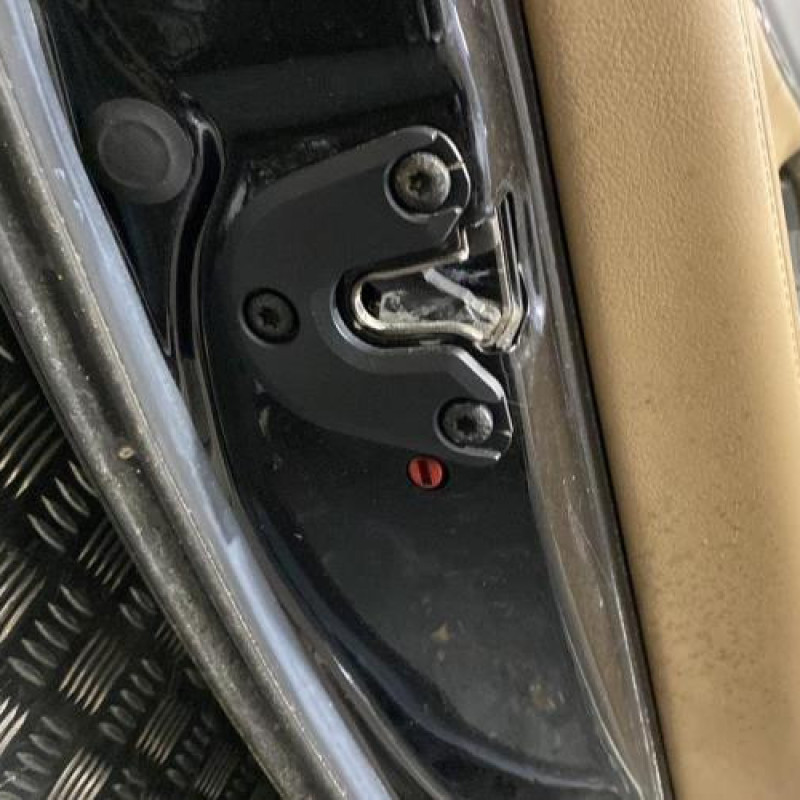 Porte arriere gauche OPEL SIGNUM Photo n°4