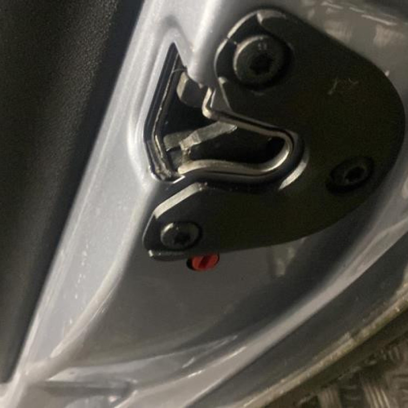 Porte arriere droit OPEL VECTRA C Photo n°5