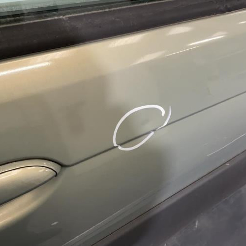 Porte avant droit RENAULT SCENIC 1 Photo n°2
