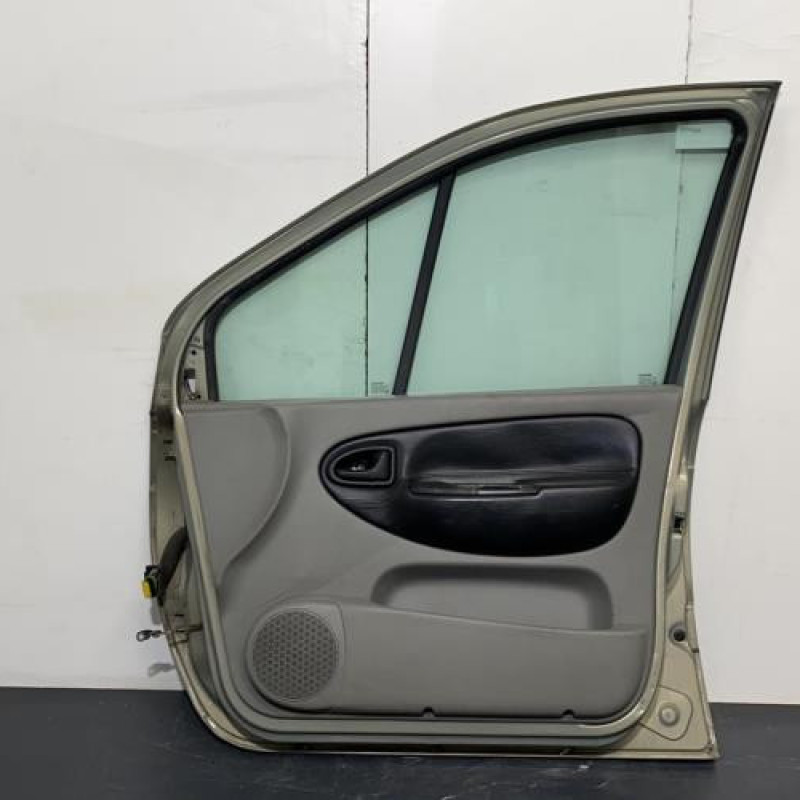 Porte avant droit RENAULT SCENIC 1 Photo n°3