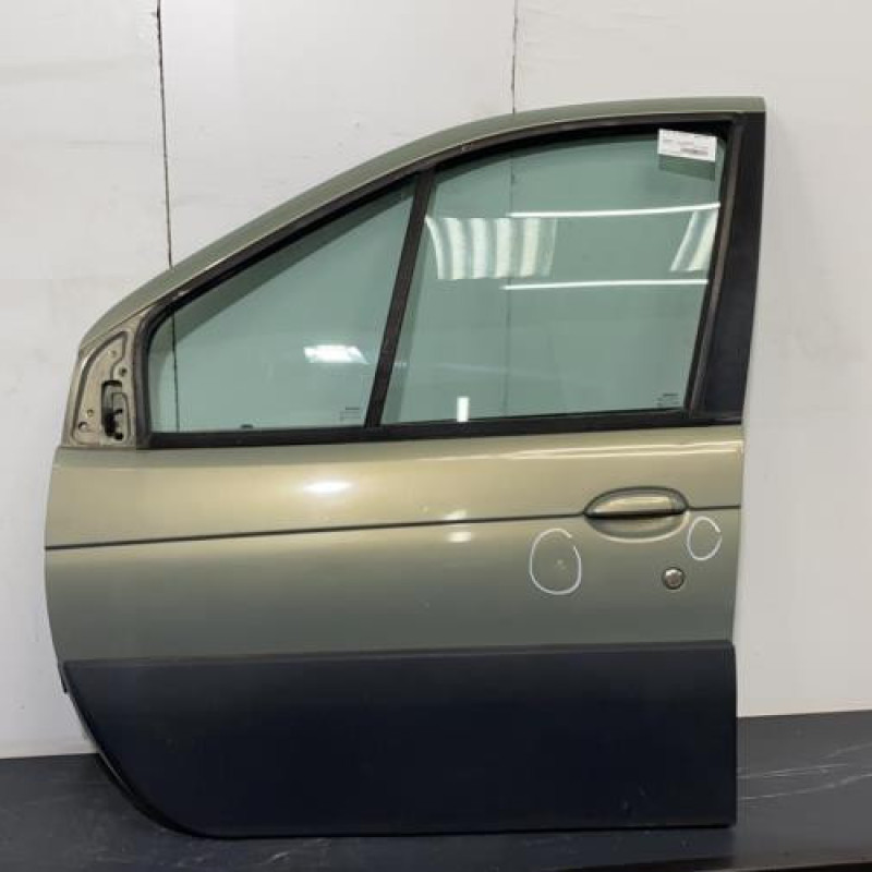Porte avant gauche RENAULT SCENIC 1 Photo n°1