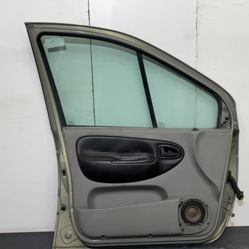 Porte avant gauche RENAULT SCENIC 1 Photo n°3
