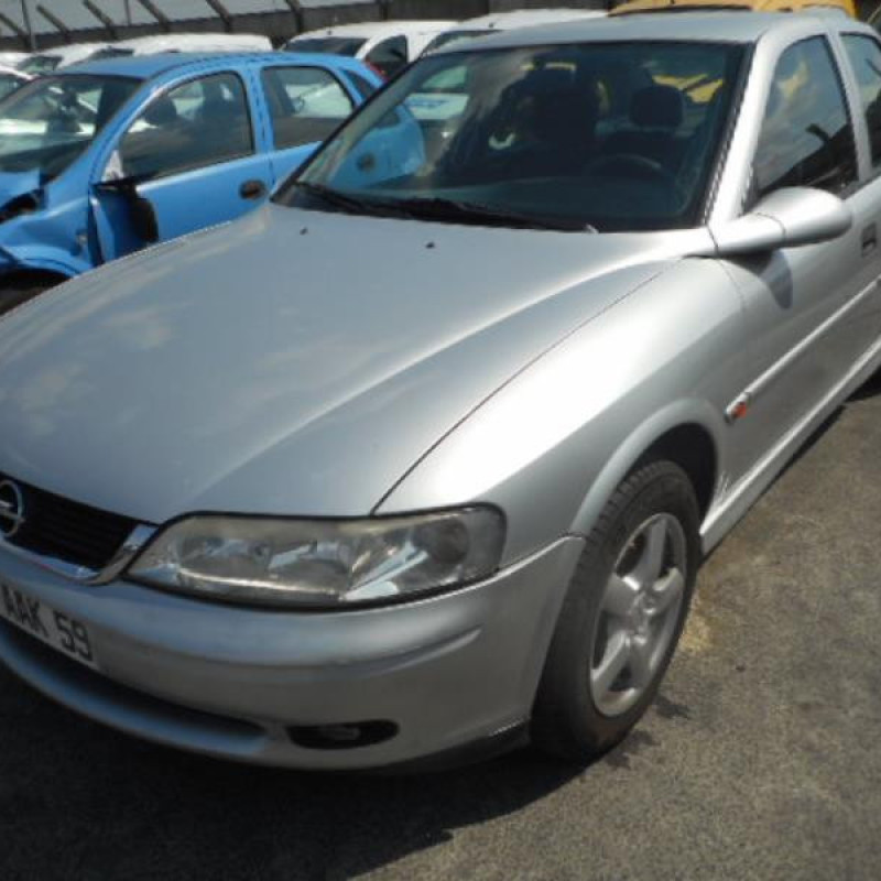 Porte arriere gauche OPEL VECTRA B Photo n°6