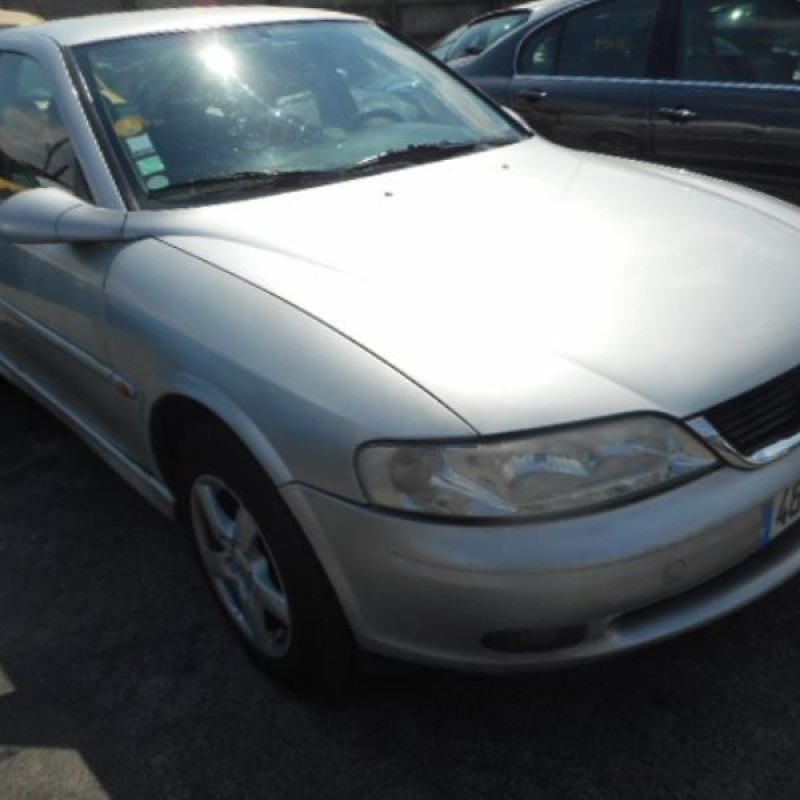 Porte arriere gauche OPEL VECTRA B Photo n°7