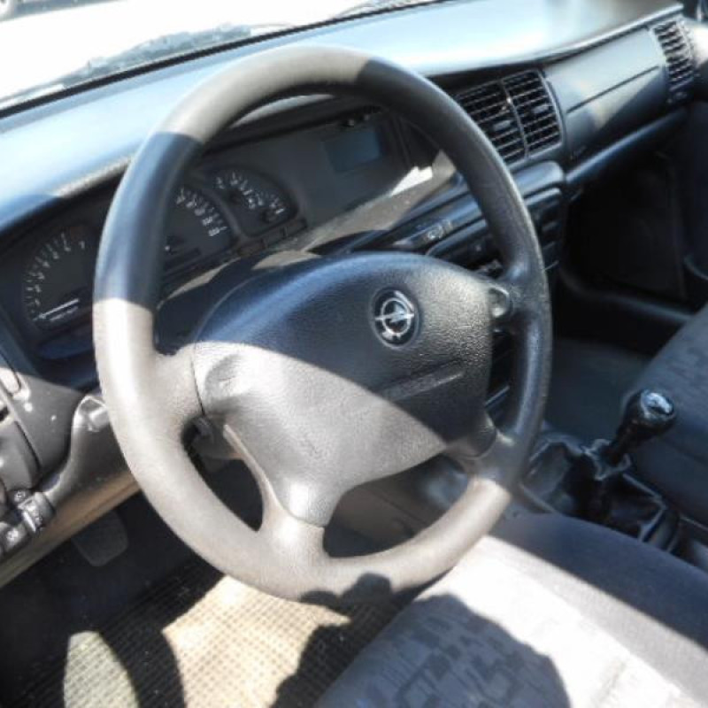 Porte arriere gauche OPEL VECTRA B Photo n°10