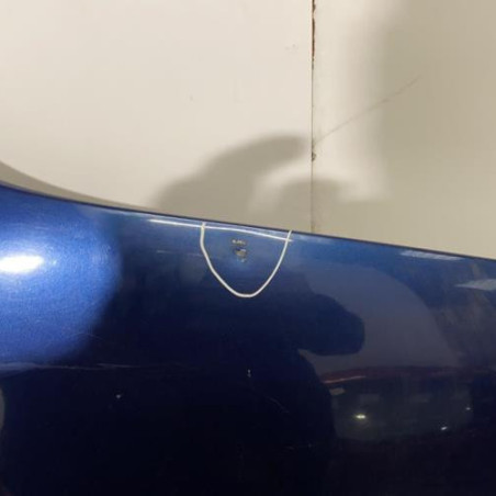 Capot RENAULT SCENIC 1