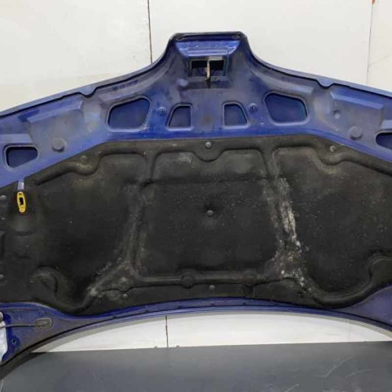 Capot RENAULT SCENIC 1 Photo n°3