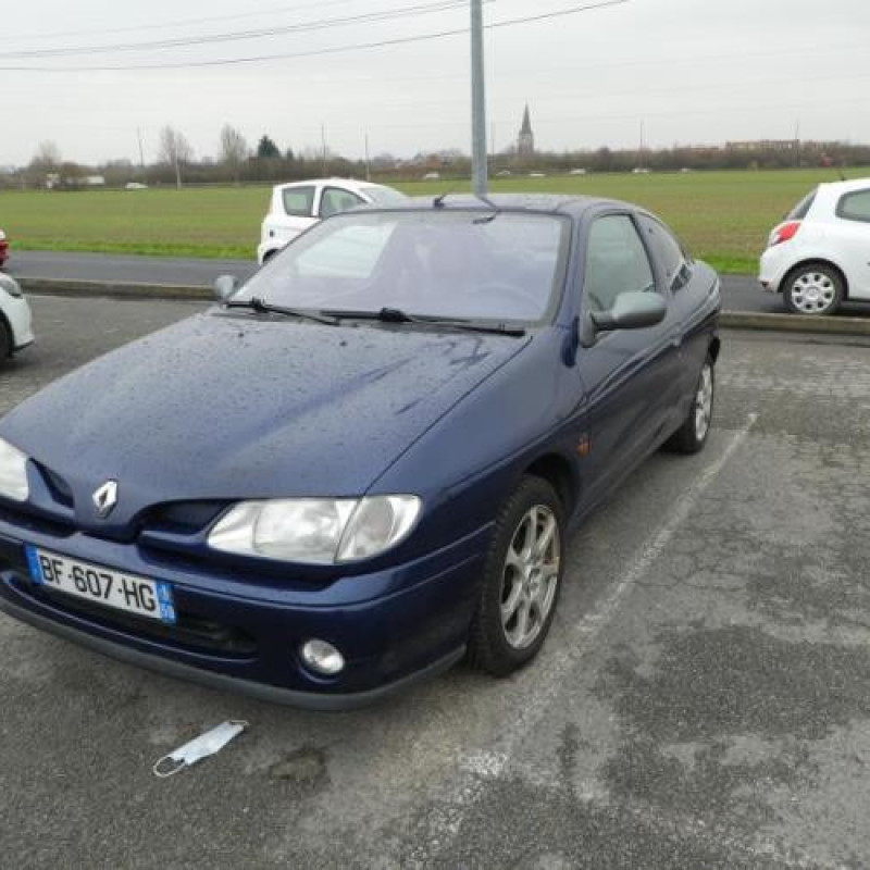 Malle/Hayon arriere RENAULT MEGANE 1 Photo n°3