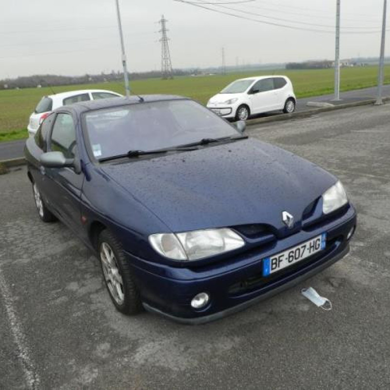 Malle/Hayon arriere RENAULT MEGANE 1 Photo n°4