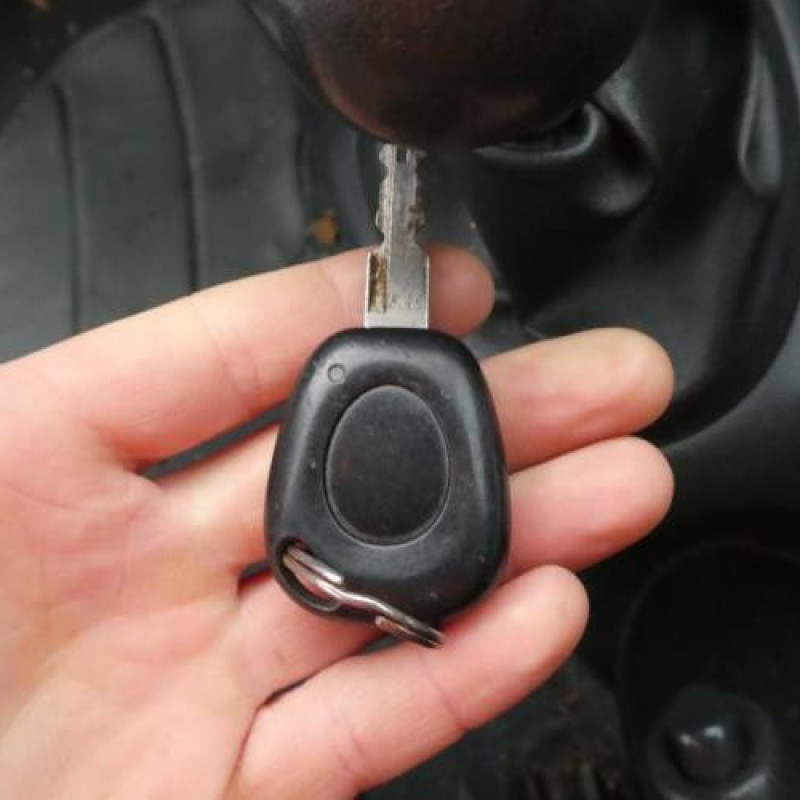 Malle/Hayon arriere RENAULT MEGANE 1 Photo n°13
