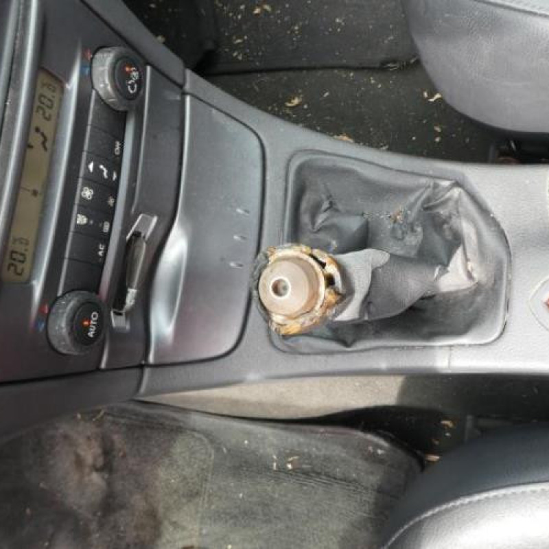 Porte arriere gauche RENAULT LAGUNA 2 Photo n°12