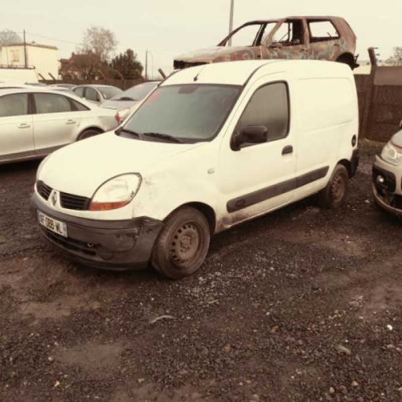 Porte de coffre droit RENAULT KANGOO 1 Photo n°3