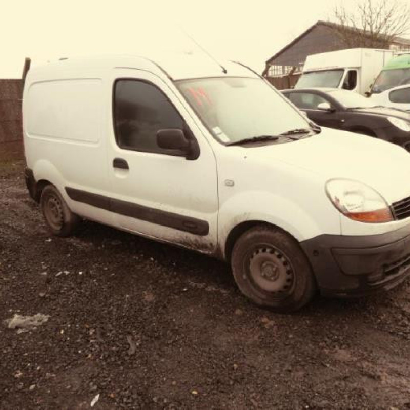 Porte de coffre droit RENAULT KANGOO 1 Photo n°4